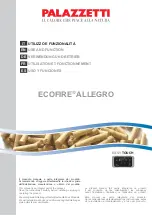 Предварительный просмотр 1 страницы Palazzetti ECOFIRE ALLEGRO Use And Function