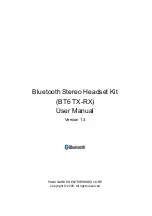 Palm Garden BT6 TX-RX User Manual preview