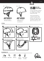 Palm AP2000 Manual preview