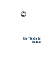 Palm BlueChat 2.0 Handbook предпросмотр