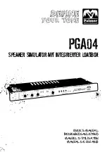 Предварительный просмотр 1 страницы Palmer ADIG-LB User Manual