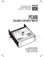 Palmer PEABI User Manual предпросмотр