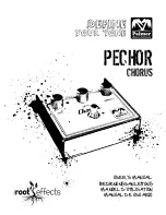 Preview for 1 page of Palmer Pechor Chorus User Manual