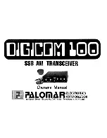 Palomar Digicom 100 Owner'S Manual предпросмотр