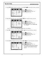 Предварительный просмотр 21 страницы Palsonic DVD9300PS User Manual