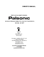 Palsonic MODEL 5910PF Owner'S Manual предпросмотр