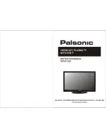 Preview for 1 page of Palsonic PDP4212HD Instruction Manual