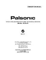 Palsonic PDP4275 Owner'S Manual preview