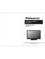 Palsonic PDP5012HD Instruction Manual preview