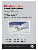 Palsonic TFTV4980MW User Manual preview