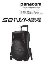 Preview for 1 page of Panacom S81WM Stage Sound User Manual