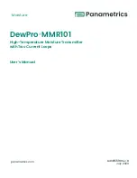 Preview for 1 page of Panametrics DewPro MMR101 User Manual