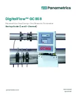 Preview for 1 page of Panametrics DigitalFlow GC868 Startup Manual