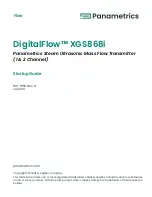 Preview for 3 page of Panametrics DigitalFlow XGS868i Startup Manual