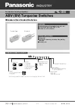 Panasonic ABV 1 Series Manual preview