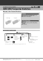 Preview for 2 page of Panasonic ABV BV Product Catalog