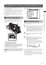 Предварительный просмотр 51 страницы Panasonic AG-3DP1G Operating Instructions Manual