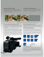 Preview for 9 page of Panasonic AG-HPX370 Brochure & Specs