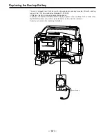 Предварительный просмотр 101 страницы Panasonic AJ-D900WAP Operating Instructions Manual