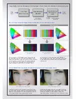 Preview for 3 page of Panasonic BT-LH1850 Brochure