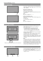 Предварительный просмотр 17 страницы Panasonic BT-LH1850 Operating Instructions Manual