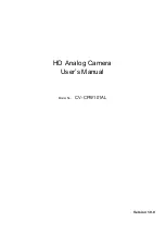 Предварительный просмотр 1 страницы Panasonic CV-CPW100 Series User Manual