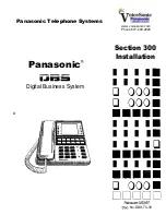 Panasonic DBS 96 Manual предпросмотр