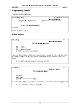 Preview for 13 page of Panasonic DBS Series Programming Manual