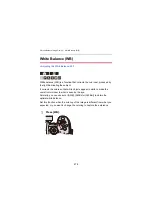 Preview for 278 page of Panasonic DC-GH5M2BODY User Manual