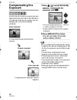 Preview for 42 page of Panasonic DMC-LS2S Operating Instructions Manual