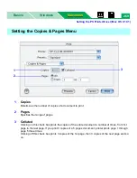 Предварительный просмотр 269 страницы Panasonic DP-CL21M User Manual