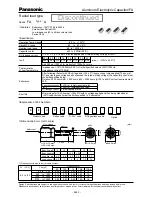 Panasonic EE23 User Manual preview