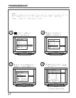 Предварительный просмотр 19 страницы Panasonic Gaoo TX-29AD2DP Operating Instructions Manual