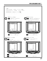 Предварительный просмотр 20 страницы Panasonic Gaoo TX-29AD2DP Operating Instructions Manual