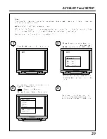 Предварительный просмотр 22 страницы Panasonic Gaoo TX-29AD2DP Operating Instructions Manual