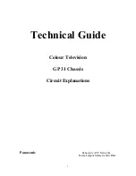 Preview for 1 page of Panasonic GP 31 Technical Manual