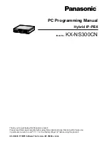 Panasonic KX-NS300CN Pc Programming Manual preview