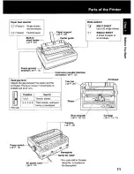 Предварительный просмотр 11 страницы Panasonic KX P2130 - KX-P 2130 Color Dot-matrix... User Manual