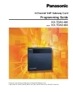 Panasonic KX-TDA0484 Programming Manual preview