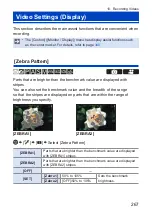 Предварительный просмотр 267 страницы Panasonic LUMIX DCG100VGNK Operating Instructions Manual