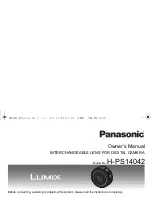 Preview for 1 page of Panasonic Lumix H-PS14042 Owner'S Manual
