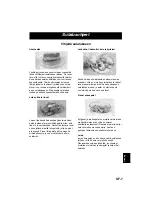 Preview for 117 page of Panasonic NN-E245 Operation Instructions Manual