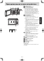 Preview for 49 page of Panasonic NN-GT351W Operating Instructions Manual