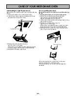 Preview for 29 page of Panasonic NN-S252 Operating Instructions Manual