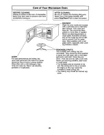 Preview for 20 page of Panasonic NN-S432 Operating Instructions Manual