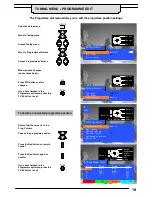 Предварительный просмотр 19 страницы Panasonic Quintrix TX-24DX1 Operating Instructions Manual