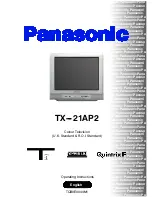 Panasonic QuintrixF TX-21AP2 Operating Instructions Manual предпросмотр