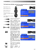 Предварительный просмотр 17 страницы Panasonic QuintrixF TX-24PS14 Operating Instructions Manual