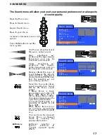 Предварительный просмотр 17 страницы Panasonic QuintrixF TX-24PS1L Operating Instructions Manual