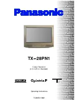 Panasonic QuintrixF TX-28PN1 Operating Instructions Manual preview